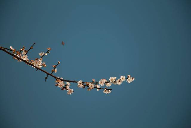 毛不易冬至送广州一场雪_精选解释落实